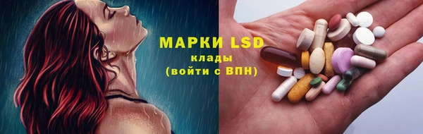 PSILOCYBIN Анжеро-Судженск