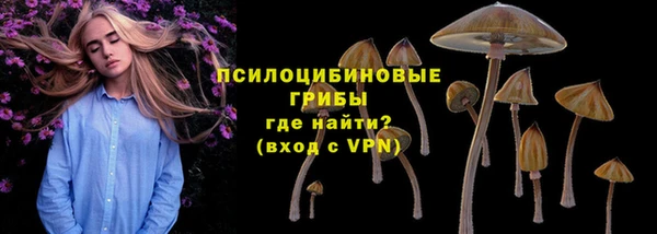 круглые Апатиты