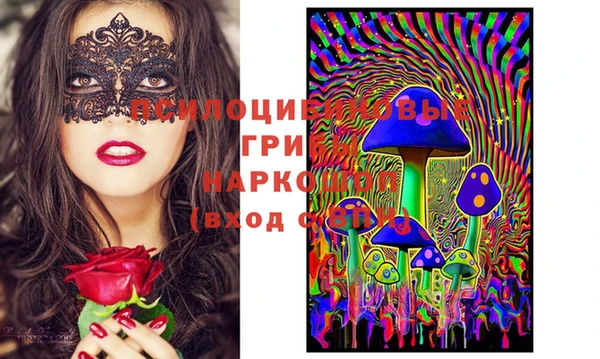 круглые Апатиты