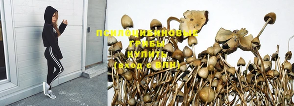 круглые Апатиты