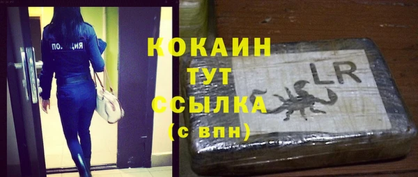 PSILOCYBIN Анжеро-Судженск