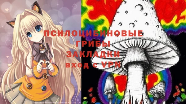 PSILOCYBIN Анжеро-Судженск