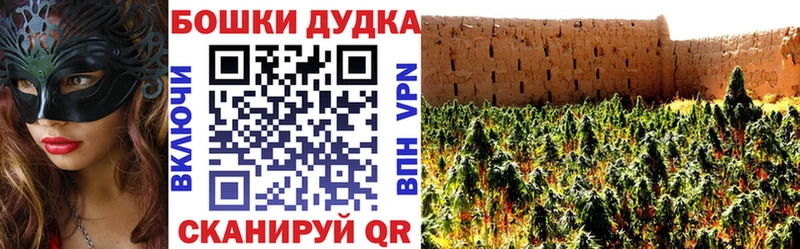 Шишки марихуана индика  Злынка 
